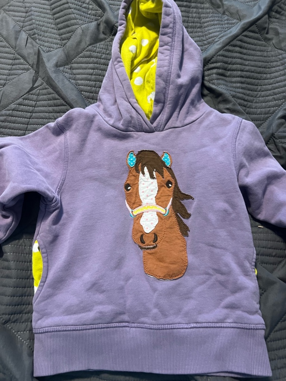 Mini Boden Horse Hoodie Sweatshirt